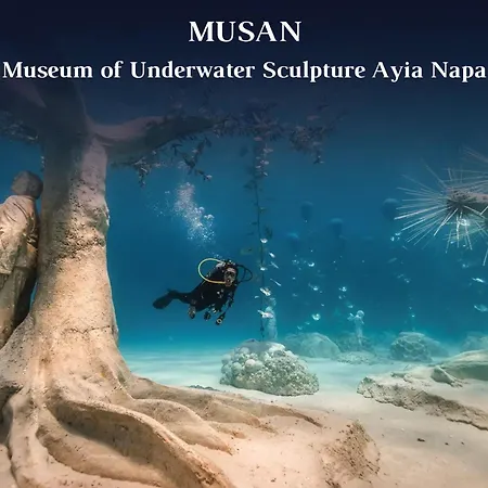 Villa Sunrise Beachfront - 3