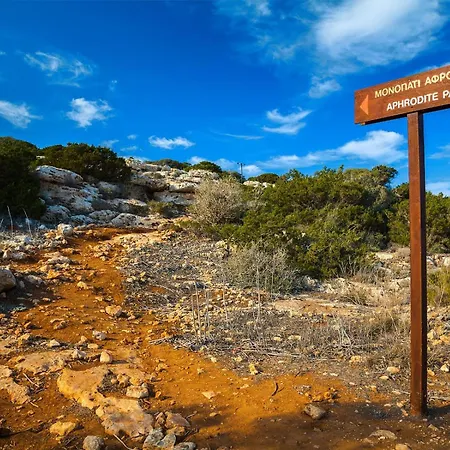 Sunrise Beachfront - 3 Villa *